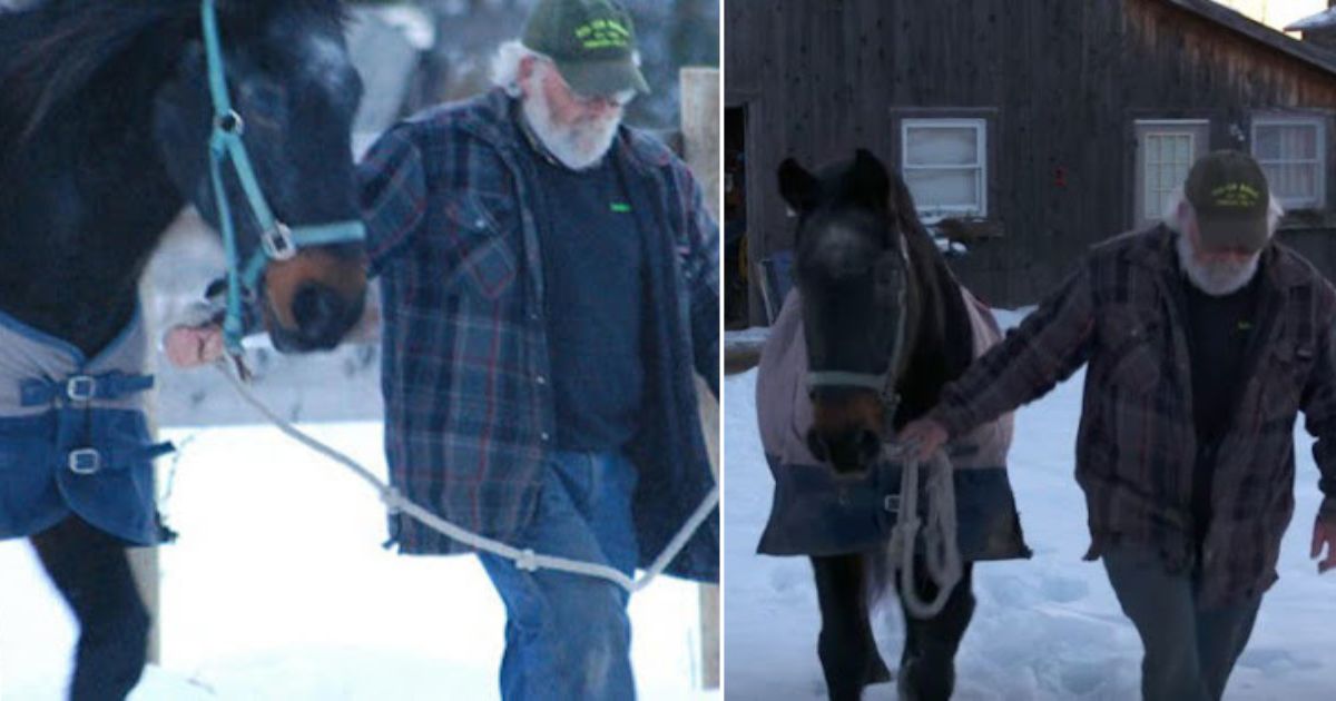 Read more about the article In each other, a 58-year-old man and a 40-year-old former racehorse find renewed purpose in life.