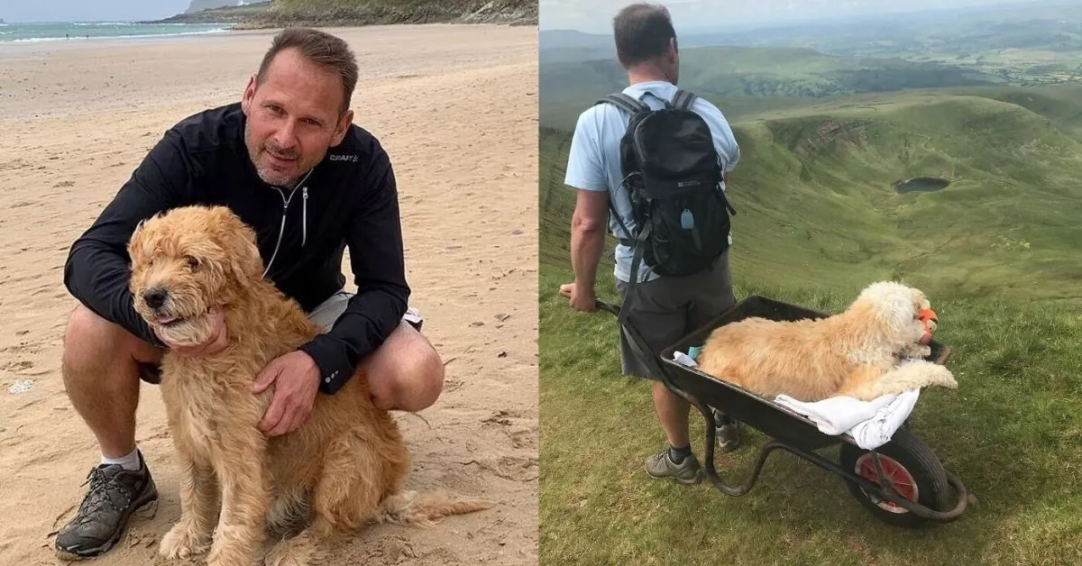 Read more about the article A Man’s Last Adventure With His Doggo Is A Heartwarming Story