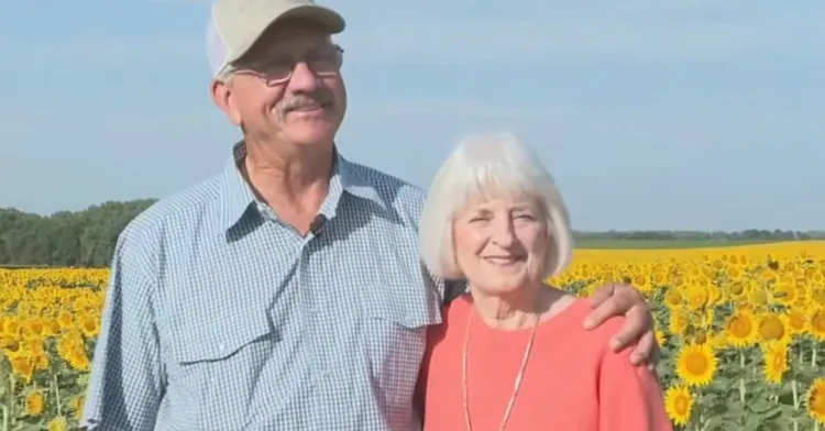 Read more about the article To honour his wife of 50 years, a man has planted 1.2 million sunflower seeds in secret.